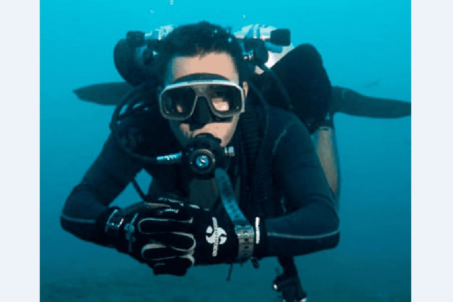 Puerto Vallarta: Underwater Wonderland at Los Arcos