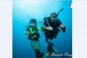 Puerto Vallarta: Underwater Wonderland at Los Arcos