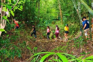 Puerto Vallarta: El Jardín Botánico de Vallarta por mar o tierra