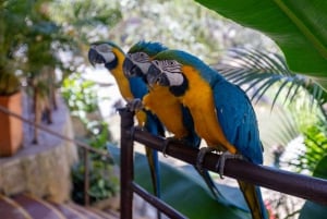 Puerto Vallarta: El Jardín Botánico de Vallarta por mar o tierra