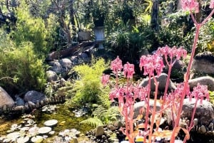 Puerto Vallarta: El Jardín Botánico de Vallarta por mar o tierra