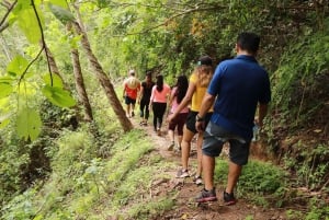 Puerto Vallarta: El Jardín Botánico de Vallarta por mar o tierra