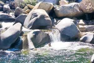 Puerto Vallarta: El Jardín Botánico de Vallarta por mar o tierra