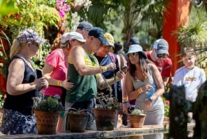 Puerto Vallarta: El Jardín Botánico de Vallarta por mar o tierra