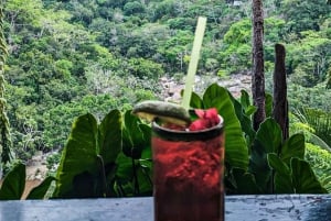 Puerto Vallarta: El Jardín Botánico de Vallarta por mar o tierra