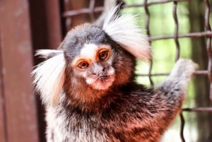 Puerto Vallarta: El Jardín Botánico de Vallarta por mar o tierra