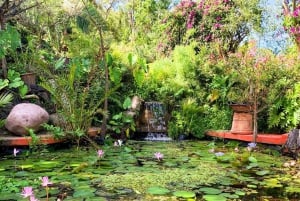 Puerto Vallarta: El Jardín Botánico de Vallarta por mar o tierra