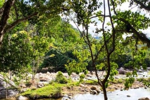 Puerto Vallarta: El Jardín Botánico de Vallarta por mar o tierra