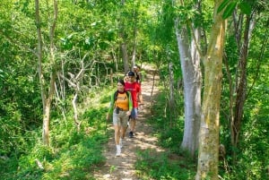 Puerto Vallarta: Walking Tour to Glass ViewPoint Jorullo