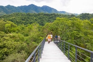 Puerto Vallarta: Walking Tour to Glass ViewPoint Jorullo