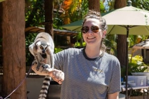 Puerto Vallarta: Walking Tour of the Botanical Garden