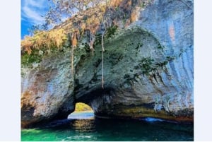 Puerto Vallarta: Expedición Encuentro con Ballenas