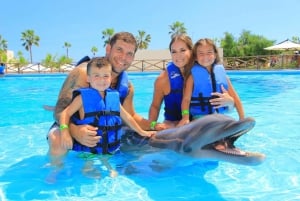 Avistamiento de Ballenas + Nado con Delfines en Puerto Vallarta