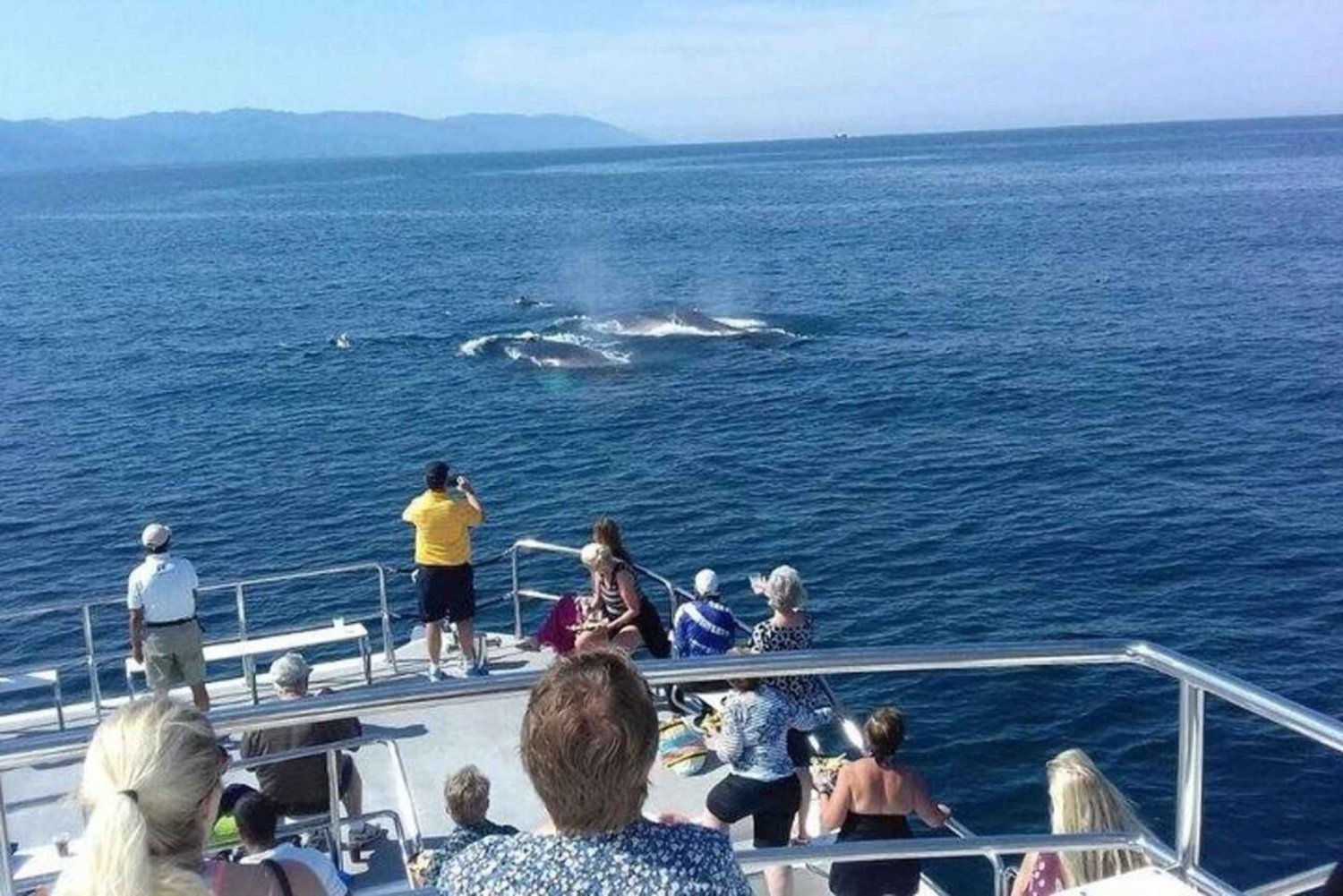 Puerto Vallarta: Whale Watching Beach Bay