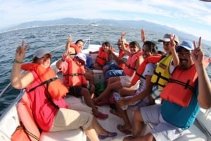 Puerto Vallarta: Whale Watching Encounter