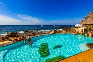 Puerto Vallarta: Crucero en yate a la Playa Paraíso TODO INCLUIDO