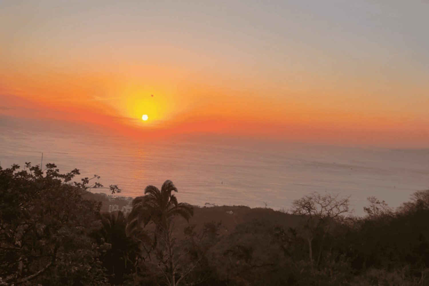 Puerto Vallarta: Experiencia y excursión en tirolesa