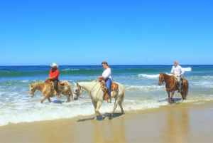 Punta de Mita/Sayulita: Horseback Riding Tour