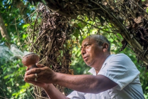 From Riviera Maya : Coba, Punta Laguna & Cenote Day Trip