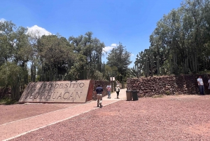 From Mexico City: Pyramids of Teotihuacan Private Tour