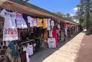 Desde Ciudad de México: Pirámides de Teotihuacán Tour privado