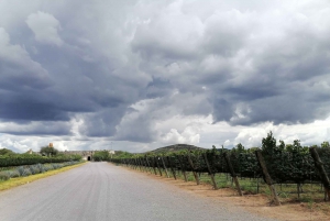 Querétaro: Tour Experiencia por Hacienda Atongo