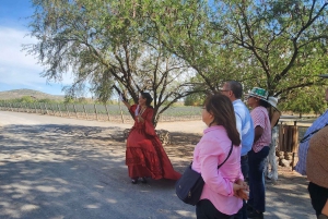 Querétaro: Tour Experiencia por Hacienda Atongo