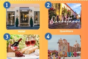 Querétaro: Degustaciones de vino y queso (ENG/CH Privado/Con otros participantes)