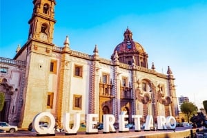 Querétaro: Degustaciones de vino y queso (ENG/CH Privado/Con otros participantes)