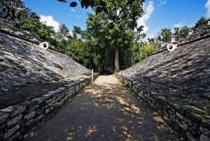 Quintana Roo: Tulum, Cobá, Cenote, Playa del Carmen & Buffet