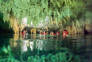 Quintana Roo: Excursión de un día a las Ruinas de Tulum, Tortugas Marinas y Cenote