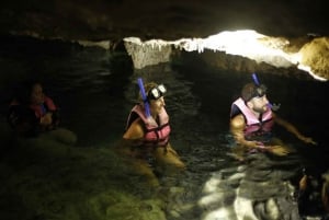 Quintana Roo: Excursión de un día a las Ruinas de Tulum, Tortugas Marinas y Cenote