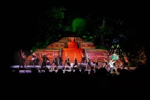 Rhythms of the night - Alma - Private Beach Show in Puerto Vallarta