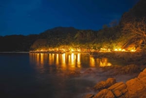 Rhythms of the night - Alma - Private Beach Show in Puerto Vallarta