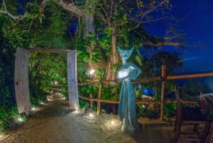 Rhythms of the night - Alma - Private Beach Show in Puerto Vallarta