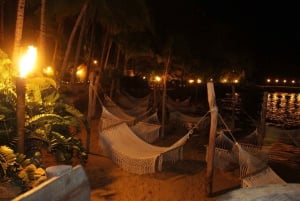 Rhythms of the night - Alma - Private Beach Show in Puerto Vallarta