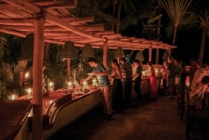 Rhythms of the night - Alma - Private Beach Show in Puerto Vallarta