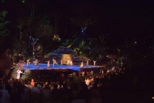 Rhythms of the night - Alma - Private Beach Show in Puerto Vallarta