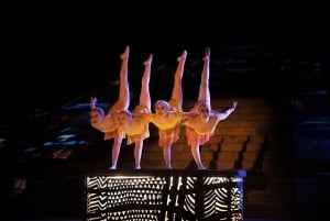 Rhythms of the night - Alma - Private Beach Show in Puerto Vallarta