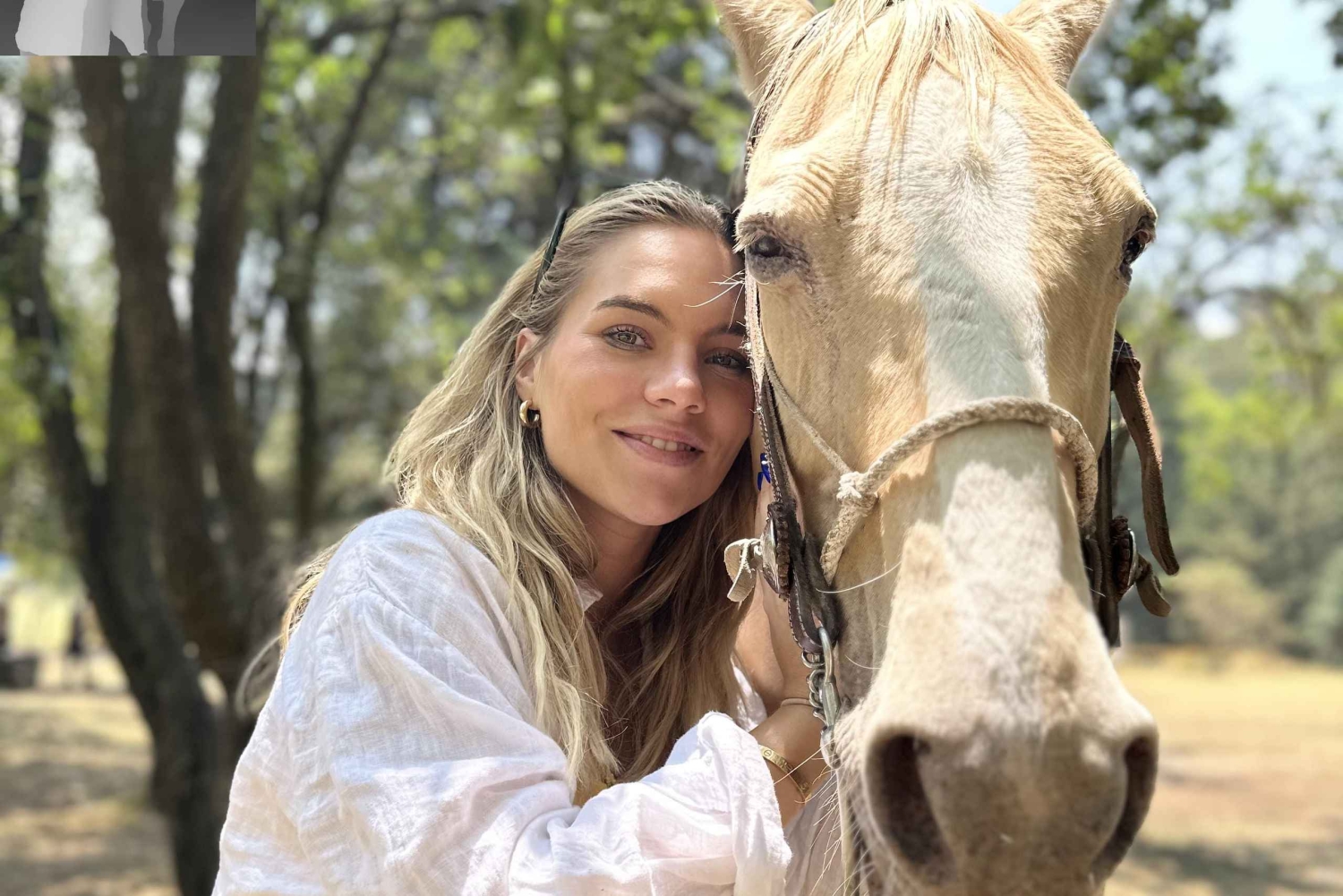 Cabalga con charros mexicanos: una aventura vaquera en la Ciudad de México
