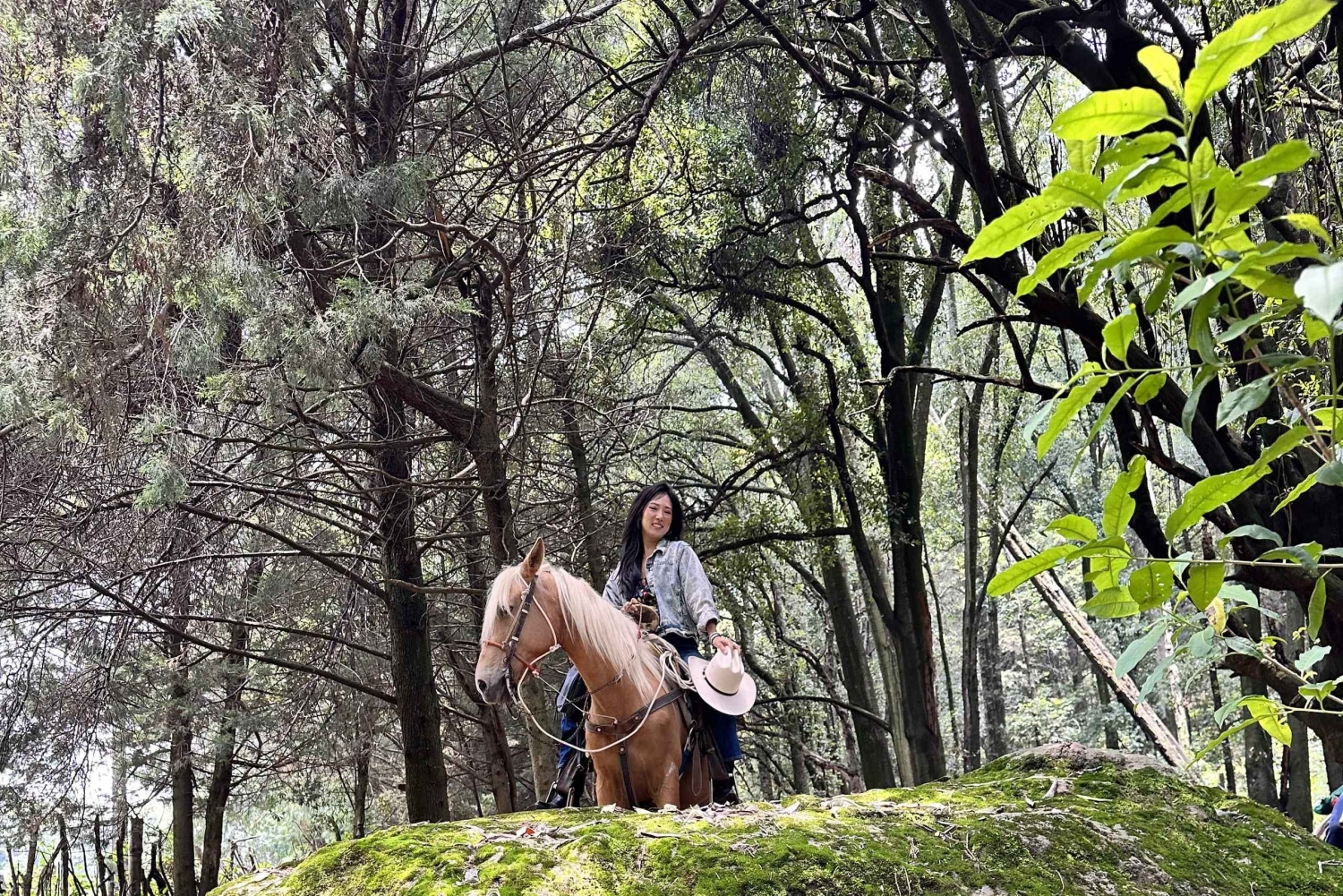 Cabalga con charros mexicanos: una aventura vaquera en la Ciudad de México