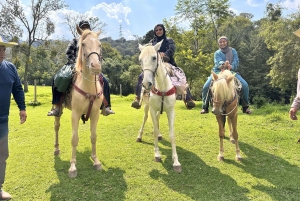 Cabalga con charros mexicanos: una aventura vaquera en la Ciudad de México