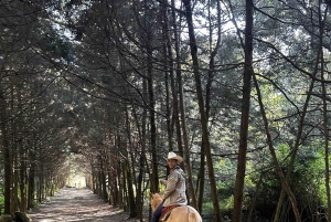 Cabalga con charros mexicanos: una aventura vaquera en la Ciudad de México