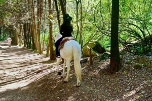 Cabalga con charros mexicanos: una aventura vaquera en la Ciudad de México