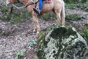 Cabalga con charros mexicanos: una aventura vaquera en la Ciudad de México