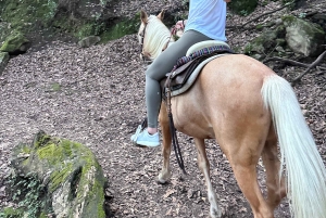 Cabalga con charros mexicanos: una aventura vaquera en la Ciudad de México