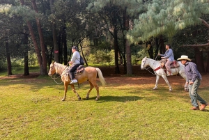 Cabalga con charros mexicanos: una aventura vaquera en la Ciudad de México
