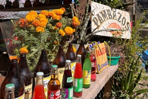 Cabalga con charros mexicanos: una aventura vaquera en la Ciudad de México