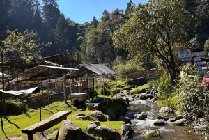 Cabalga con charros mexicanos: una aventura vaquera en la Ciudad de México
