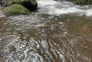 Cabalga con charros mexicanos: una aventura vaquera en la Ciudad de México